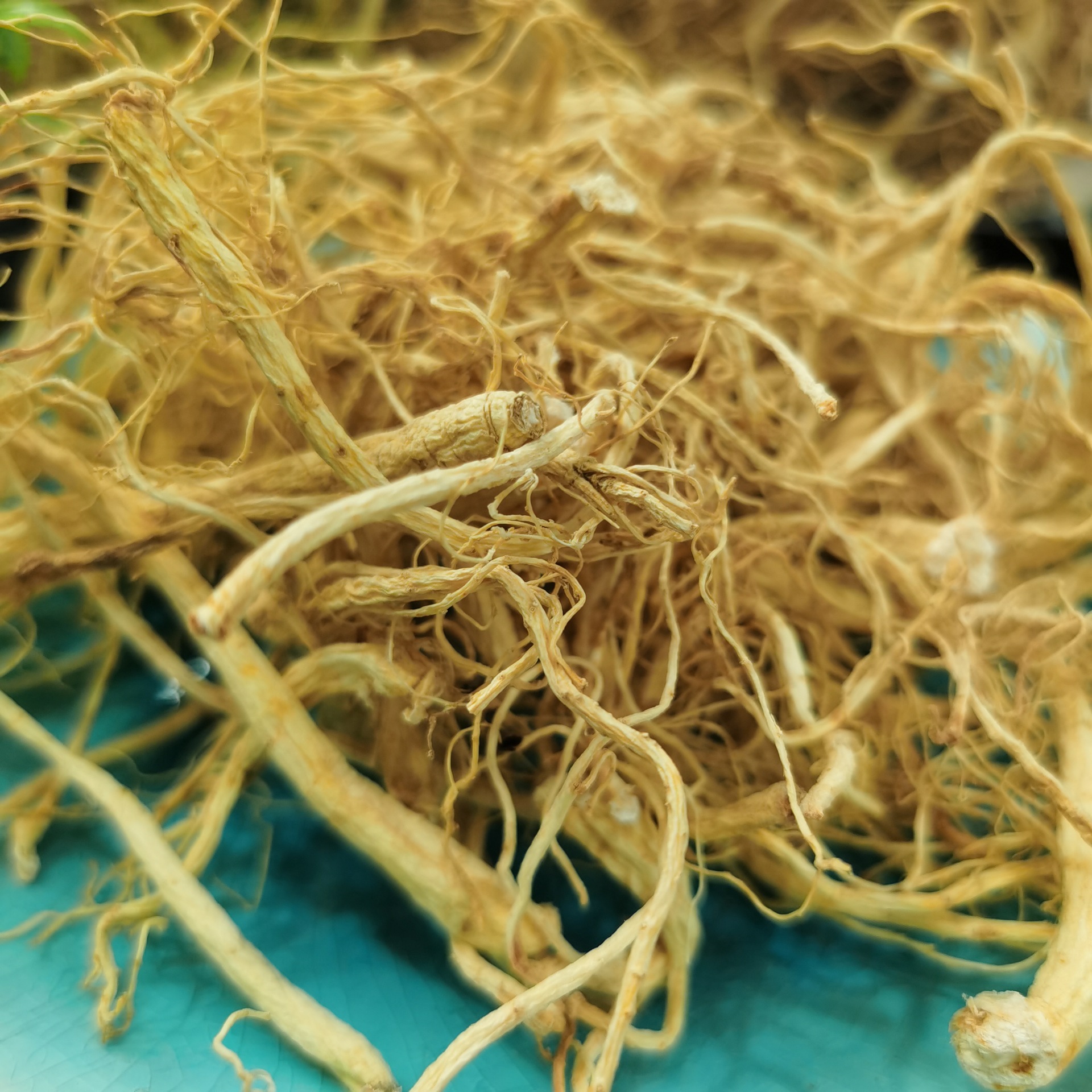 众珍元 长白山生晒人参须白参须 生晒参须 诚招代理一件代发