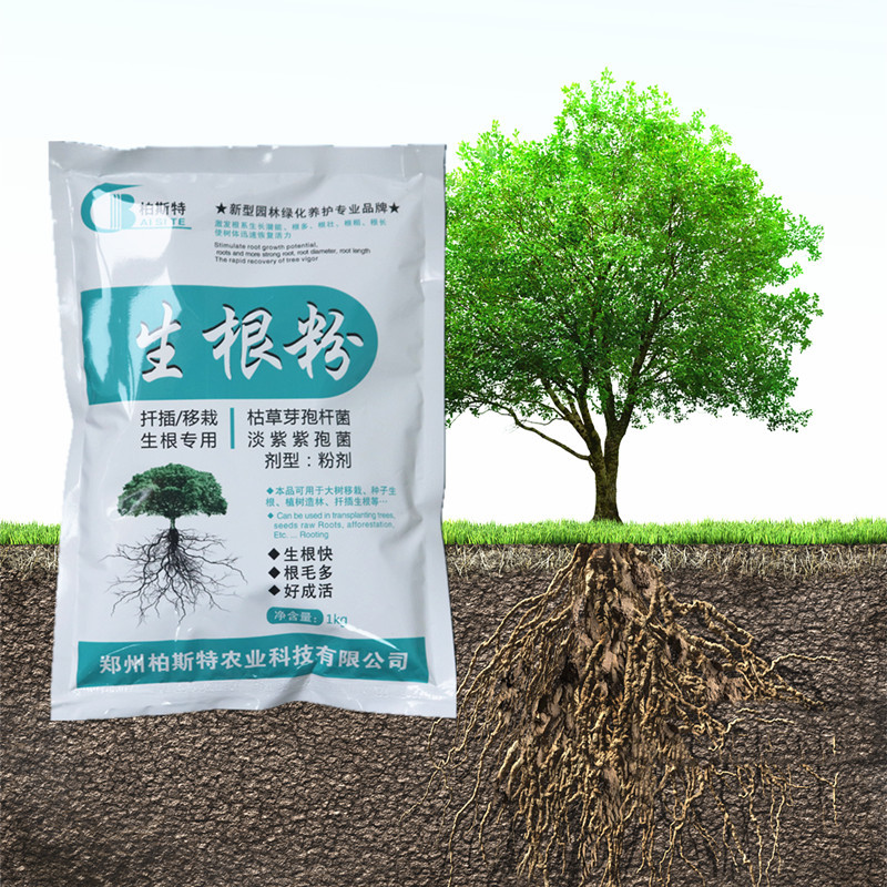 树木生根粉生根剂果树壮苗剂植物生根液调节剂复壮萌芽厂家批发