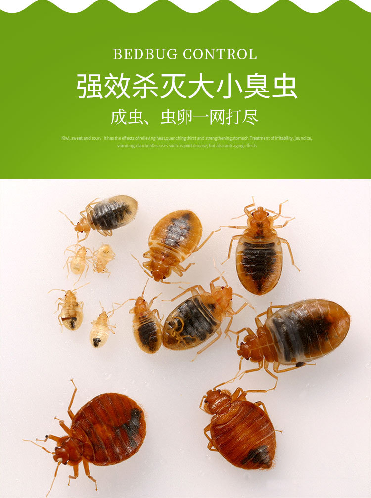 卫诚灭臭虫药家用喷剂酒店公寓治床蚤蟑螂工厂宿舍灭床虱杀虫剂