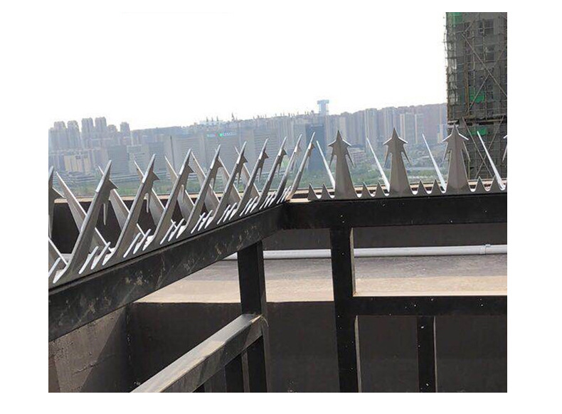 成都防爬刺防盗刺不锈钢燃气管道倒刺小区管道园热镀锌防爬刺钉