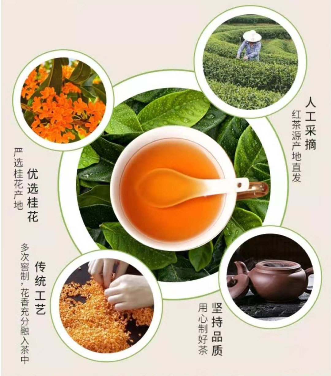 桂花茶金骏眉红茶蜜香型鲜桂花窨制广西三江茶叶厂家源头批发直供