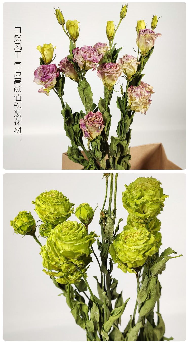 厂家直销洋桔梗干花花束 ins干花北欧批发乾燥花装饰干花客厅摆设