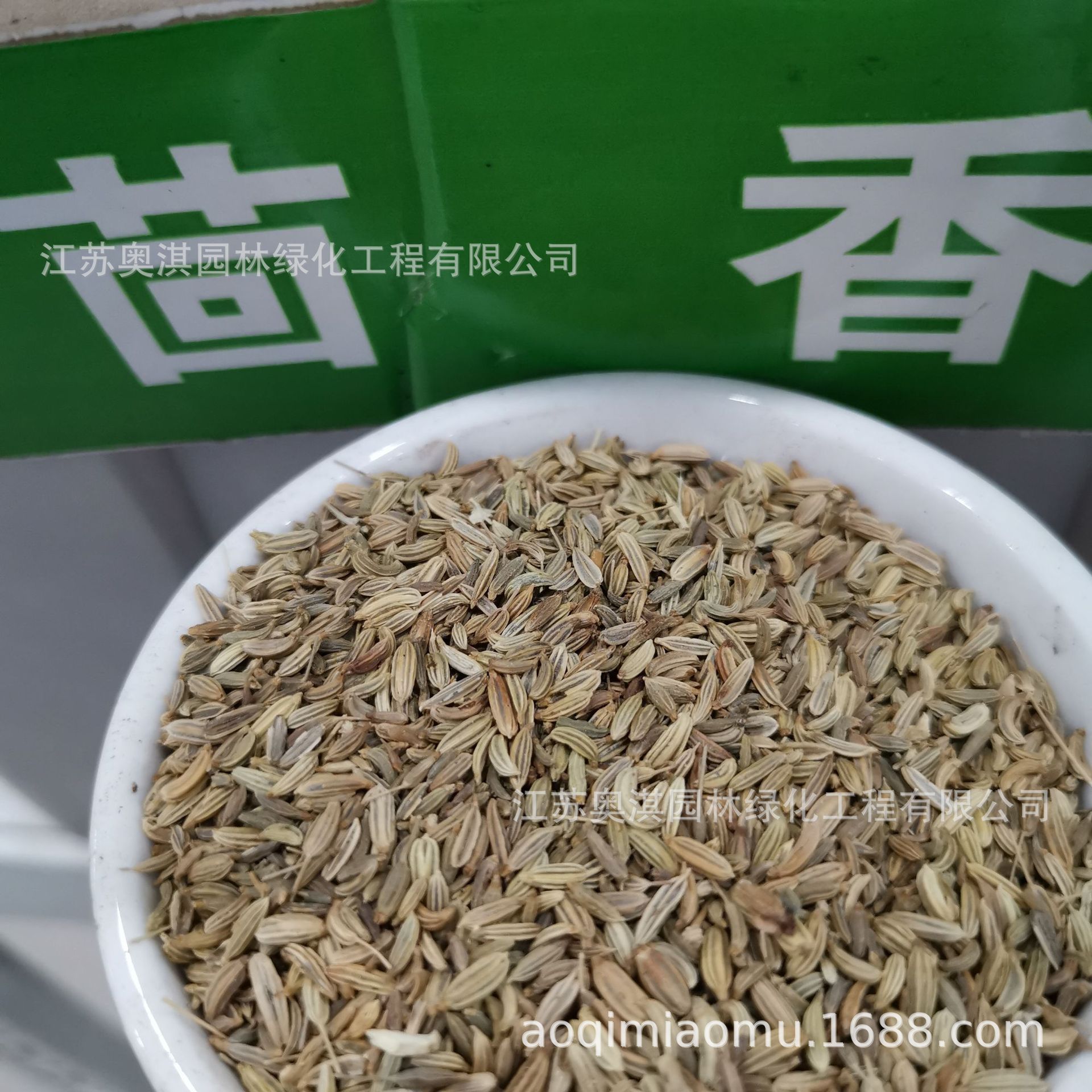 散装蔬菜种子球茎茴香种子割茬茴香种子小茴香种子茴香籽货到付款