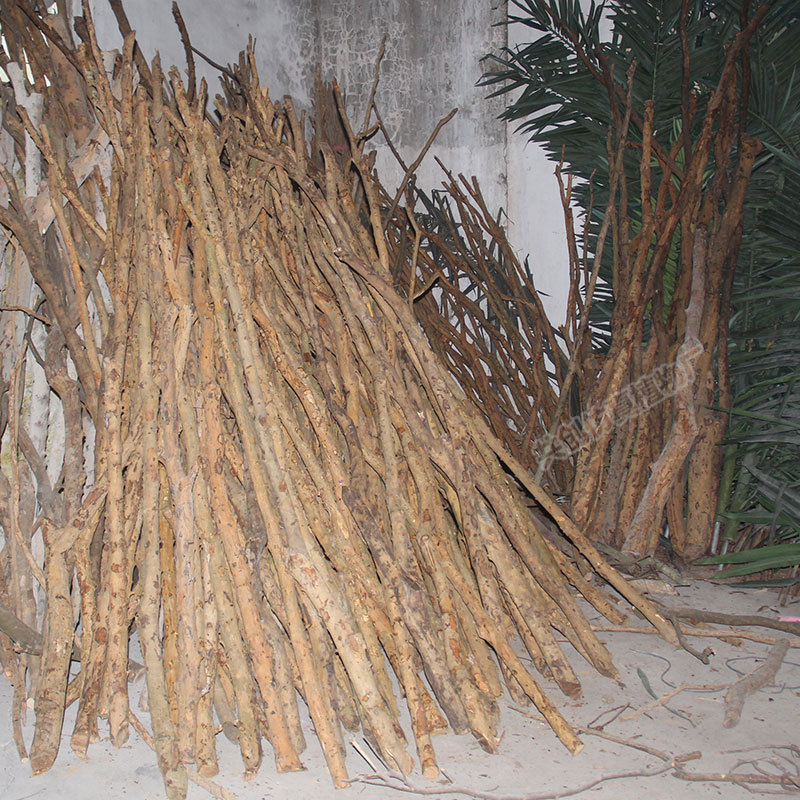 现货 厂家批发黄牛木 真枝无叶树杆 假树配件荔枝木 橱窗装饰实木