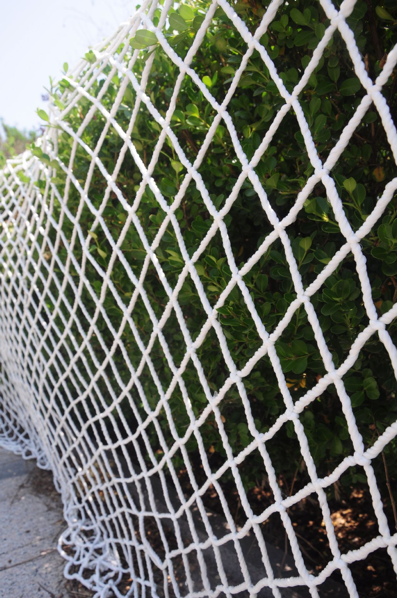 防坠网货柜车货物隔离防倒塌防护尼龙20尺40尺集装箱尾部挡网配件