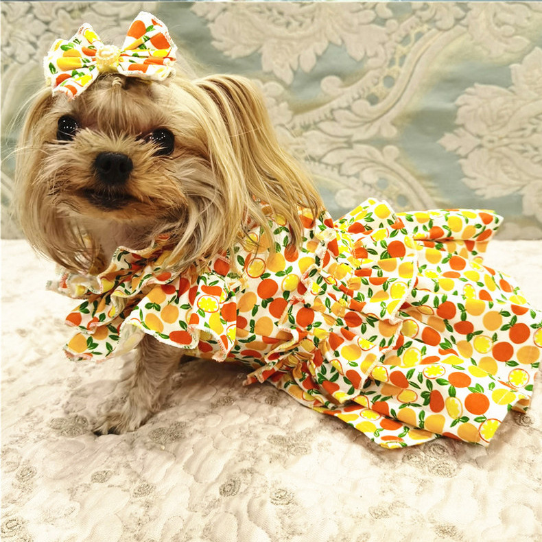 狗狗衣服 宠物衣服 约克夏泰迪法斗柯基连衣裙 英伦贵妇装