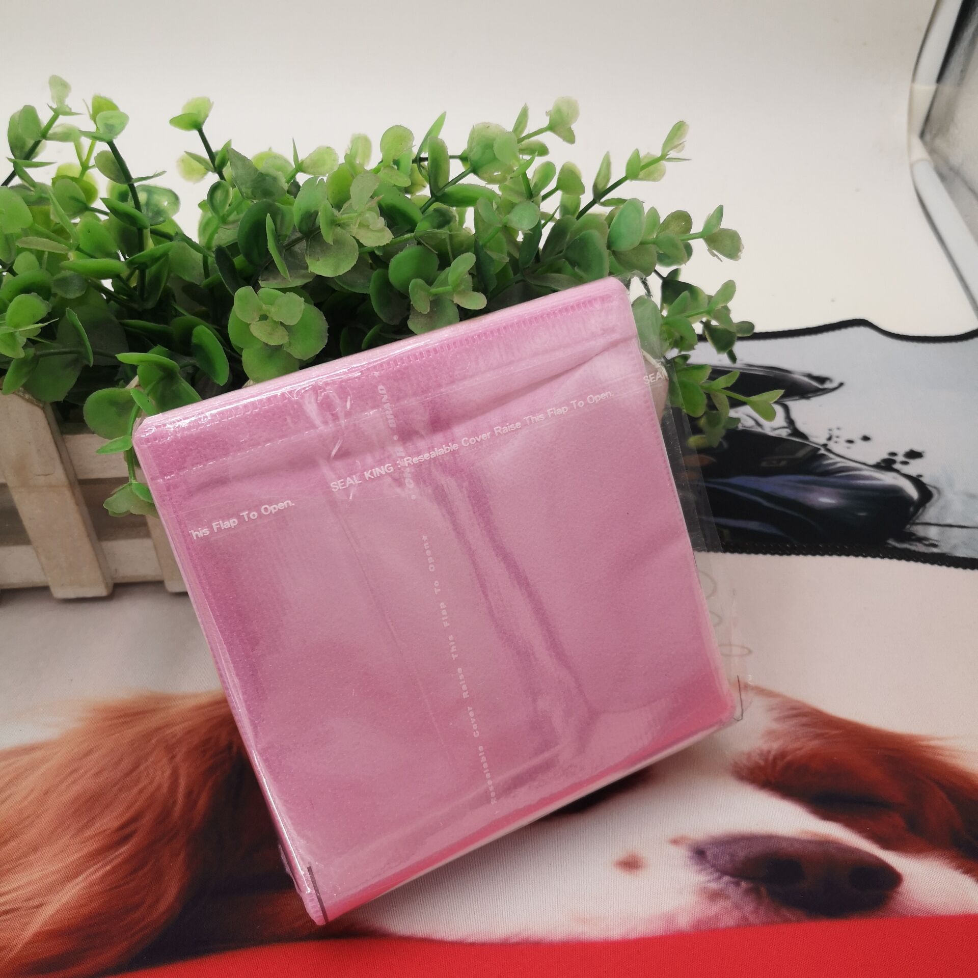 厂家批发普通cd光盘 pp袋厂家直销