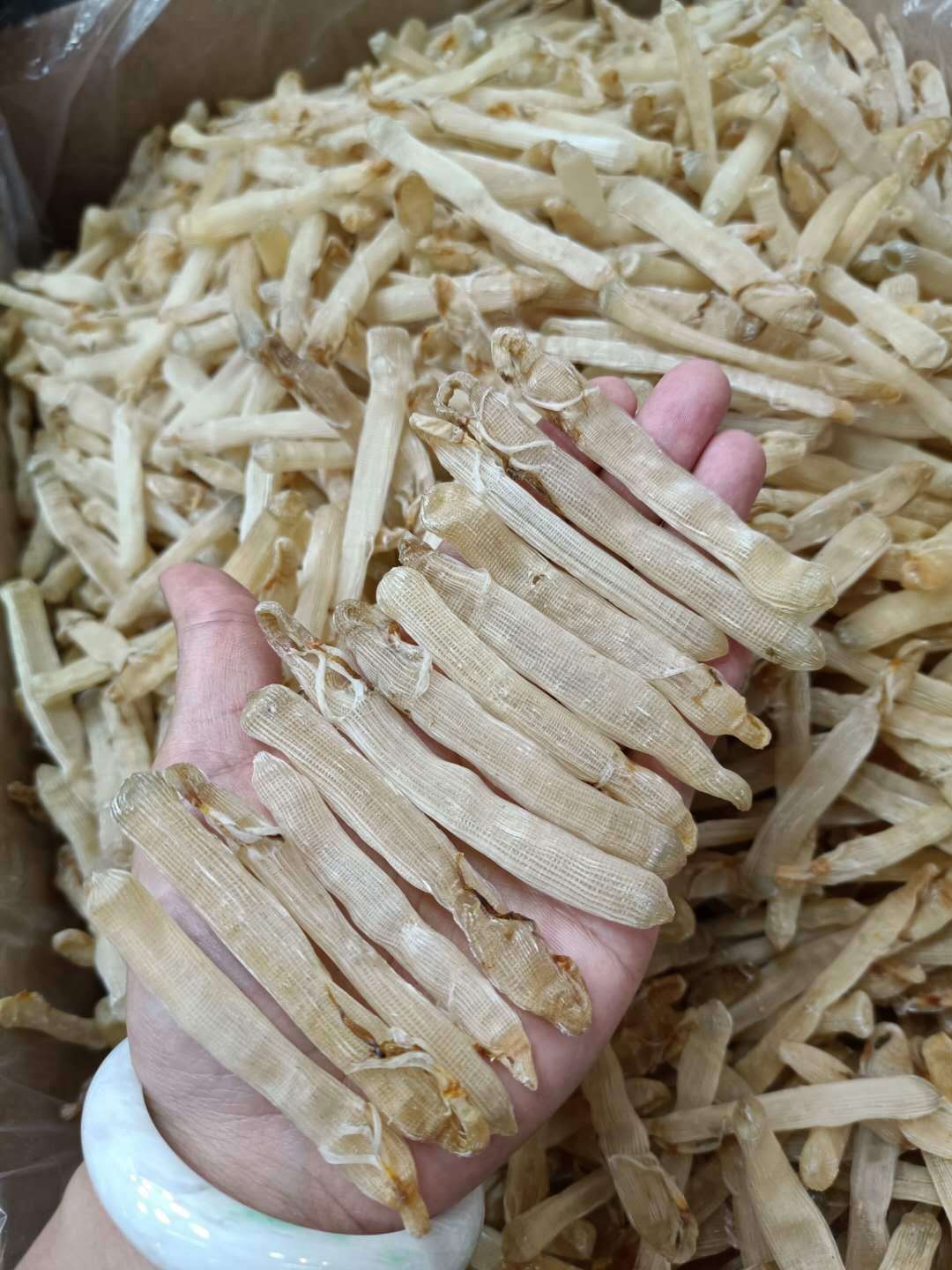 厂家直销 一德路海味大号沙虫干500g去沙袋新鲜海味沙虫干货现货