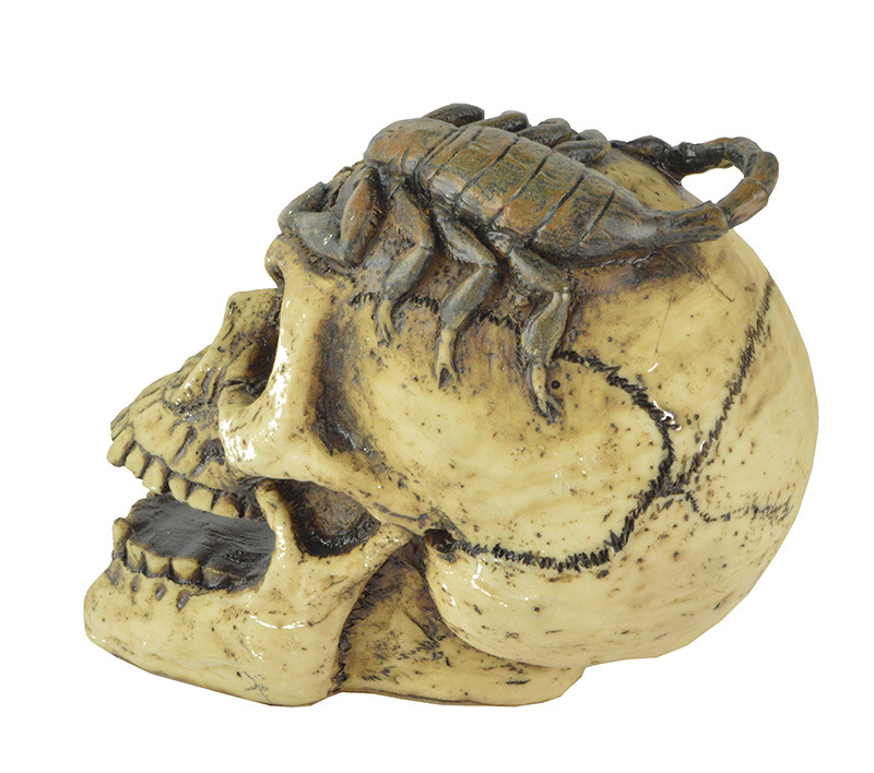 万圣节装饰品酒吧鬼屋密室装扮恐怖道具摆件树脂模型蝎子骷髅头