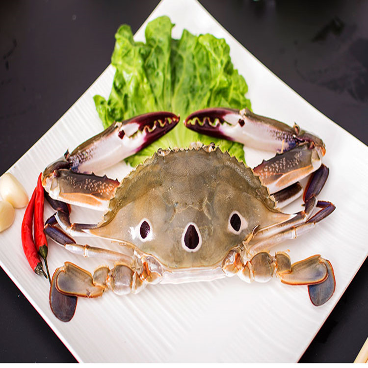 三点蟹公蟹 三眼蟹 三目蟹 200/300规格 蟹肉饱满 厂家批发