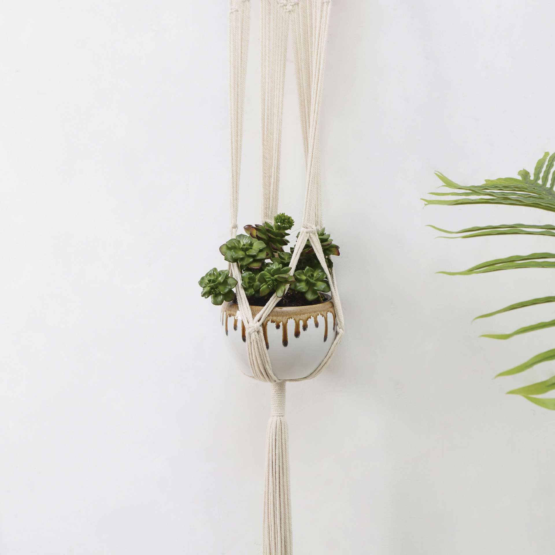 厂批发植物短款吊兜 园艺手工编织棉绳花盆网兜吊篮