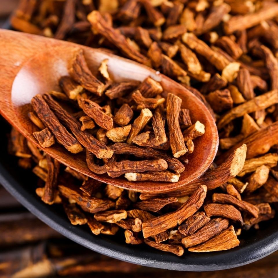 蒲公英根茶婆婆丁蒲公英根长白山纯浦包邮-阿里巴巴