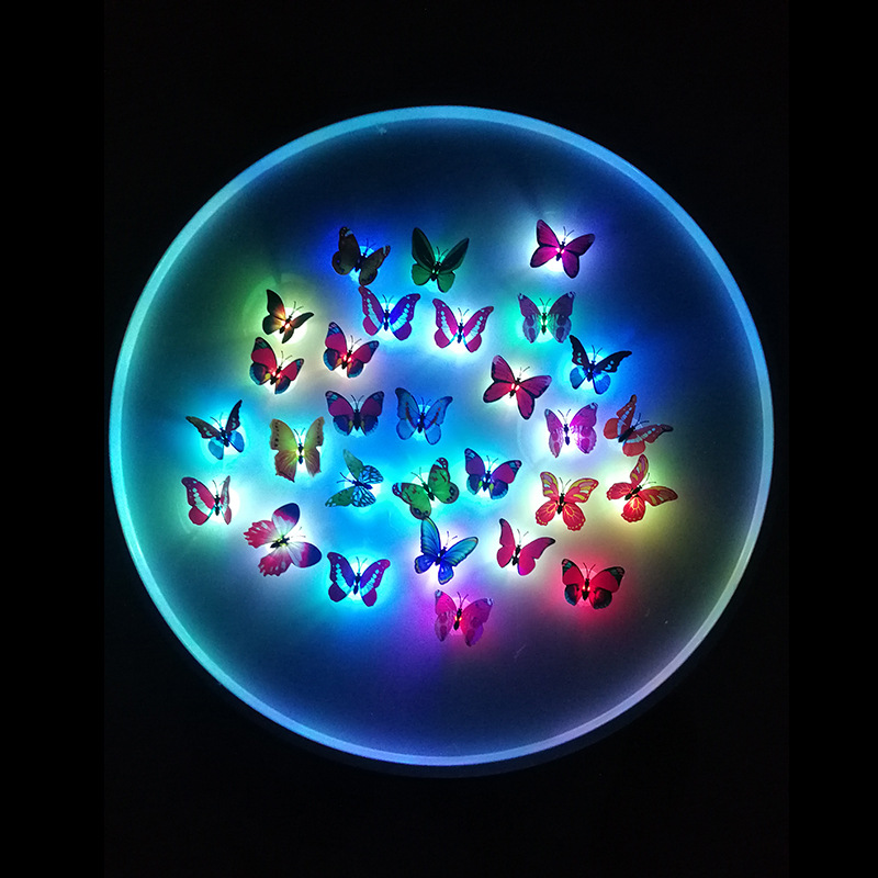 夜光蝴蝶主图1.jpg