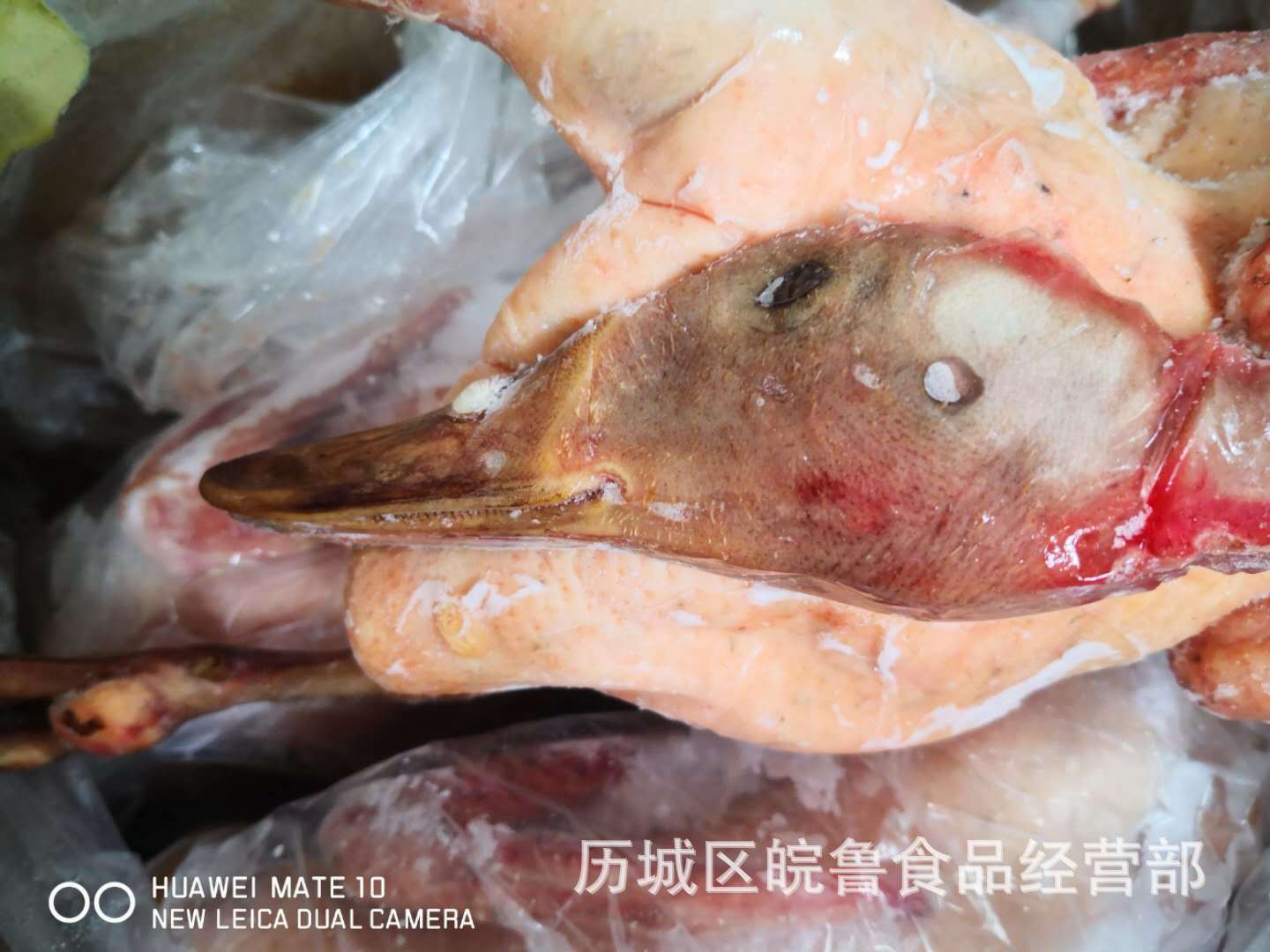 红头雁 红头鸭 番鸭 徐州翼达红头雁 嘴边有红边