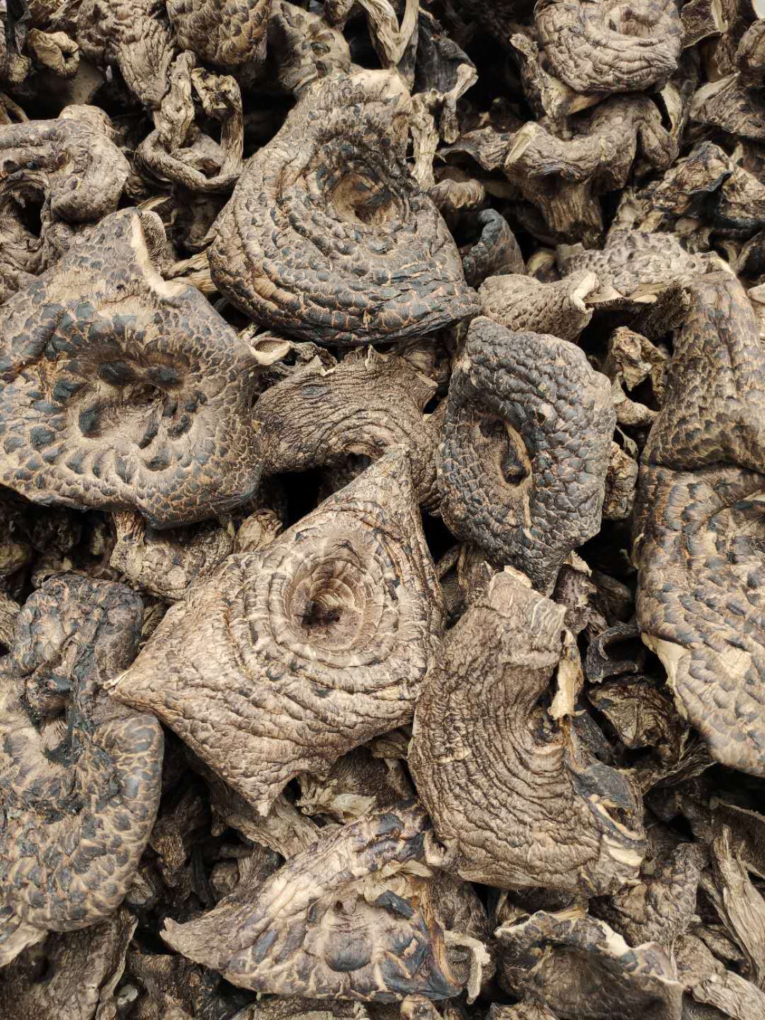 2021产地货源 烤制黑虎掌菌干货 四川甘孜出口级食用菌 统货批发