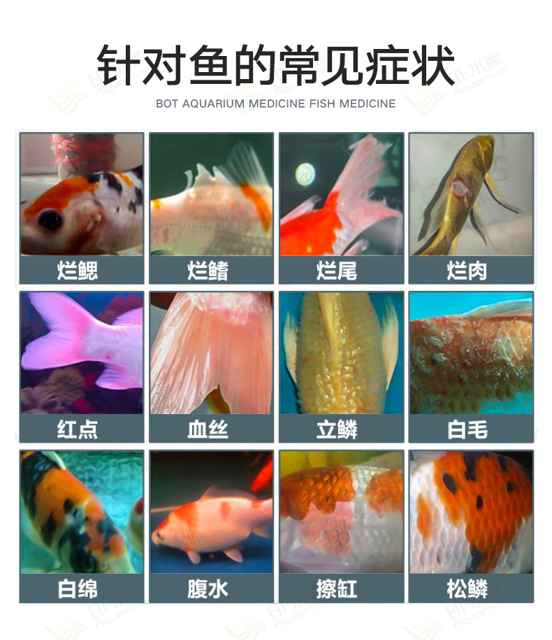 博特黄粉大白片鱼用水族观赏鱼药疾病龙鱼金鱼头洞内外寄生虫净水