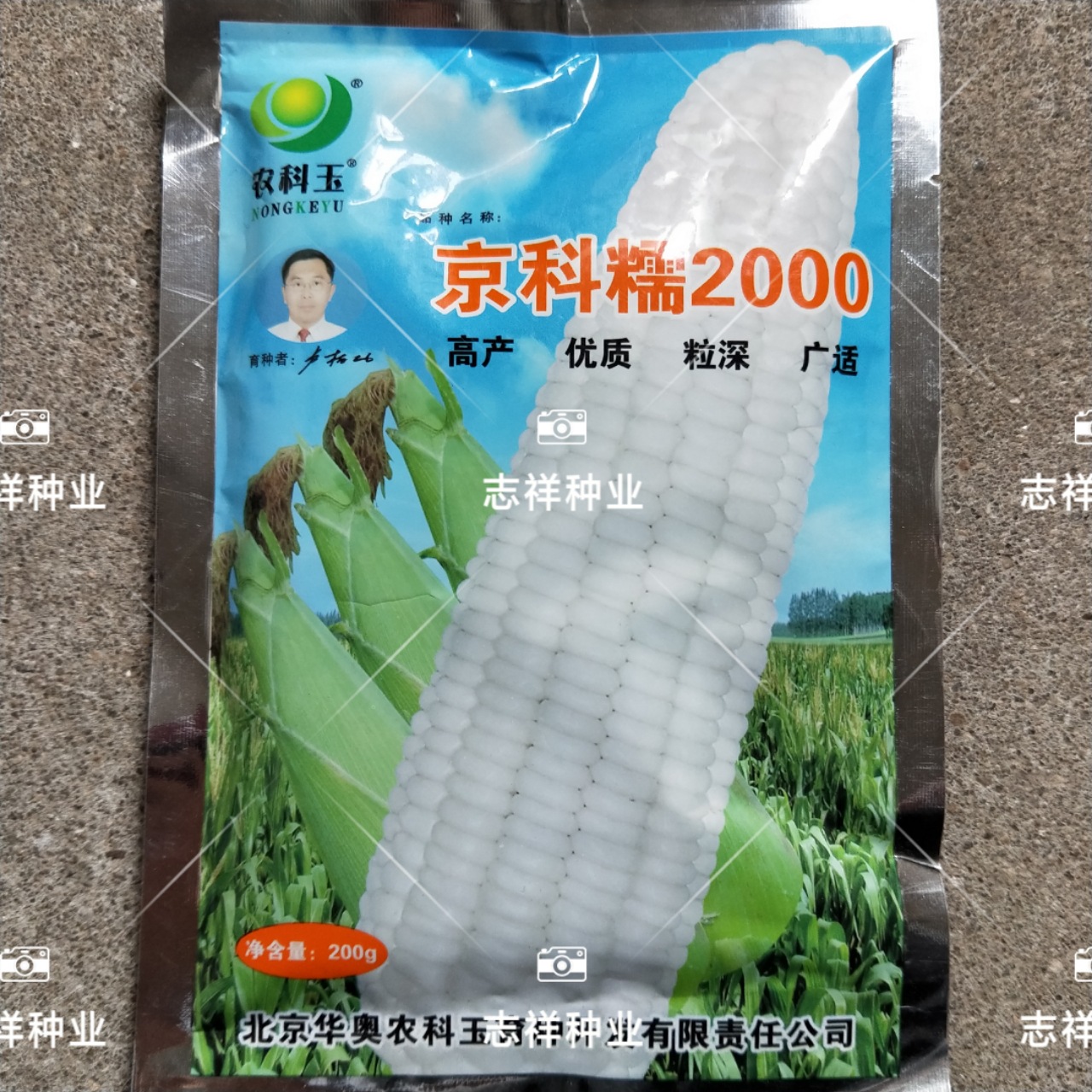 农科玉京科糯2000玉米种子糯玉米种子春秋两季播种200g