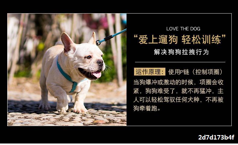 不锈钢p链项圈狗狗牵引绳链子小中大型犬金毛德牧脖圈套蛇链平链