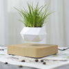 磁悬浮摆件磁悬浮盆栽diy种植客厅桌面装饰品极简摆件空中盆栽|ms 磁悬浮摆件磁悬浮盆栽diy种植客厅桌面装饰品极简摆件空中盆栽|ms
