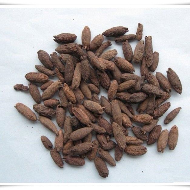 母丁香mudingxiang产地广西玉林市7月产新22元每公斤包邮鸡舌香