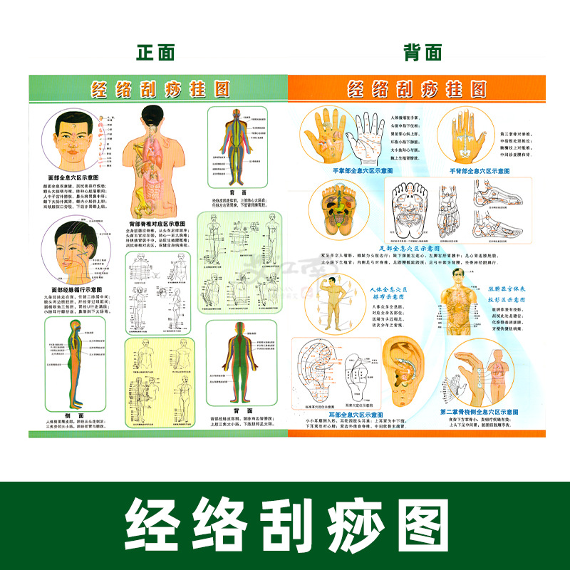 经络刮痧挂图双面彩色人体穴位图刮痧图美容院艾灸馆批发