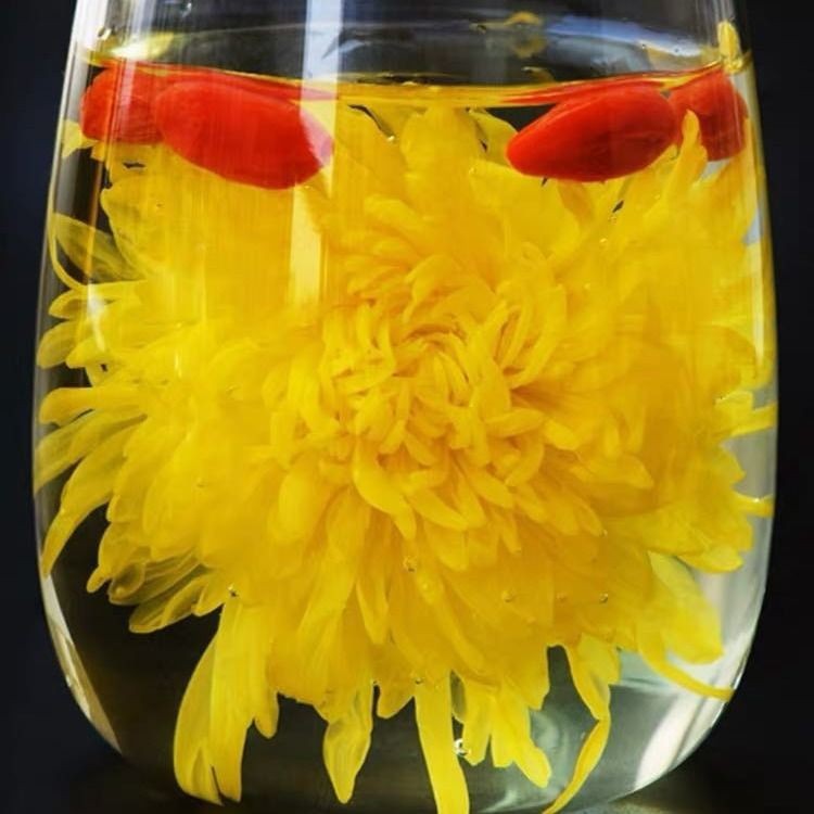 金丝皇菊花茶 头采手选罐装花 20克约30朵泡开6--9厘米 产地批发