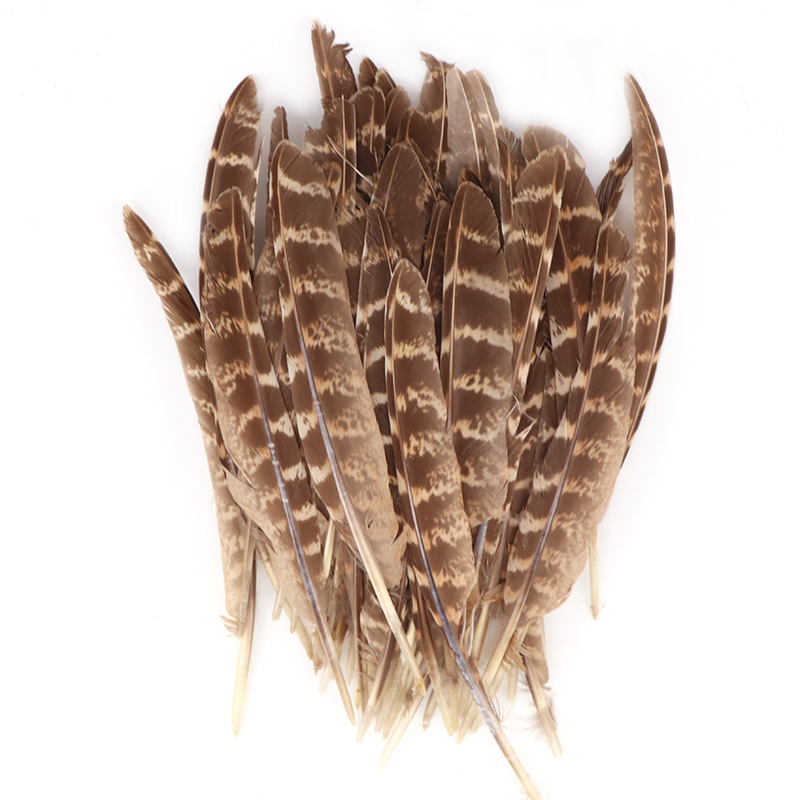鸡毛批发母鸡刀翎15-20cm自然色鸡毛母鸡羽毛母山鸡野鸡毛