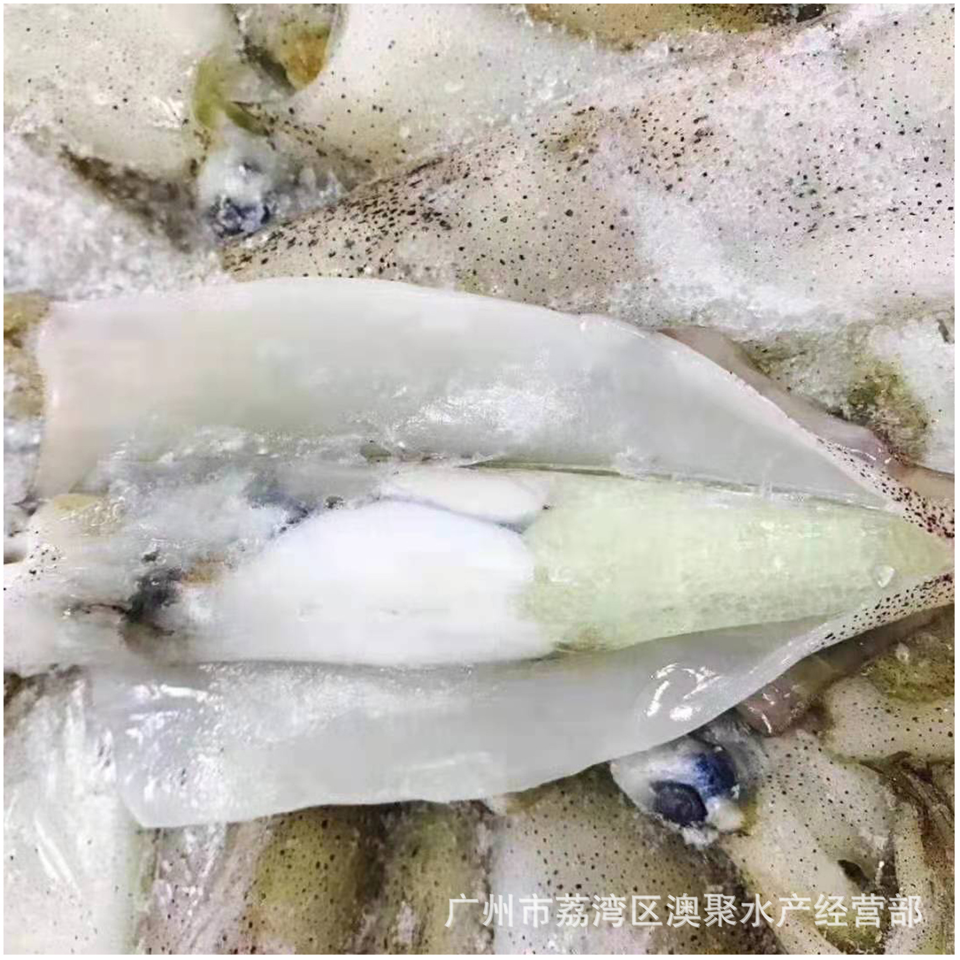 海鲜 冻品 小鱿鱼 膏鱿 笔管鱼 美国小海兔 含籽率40~50% 20斤/件