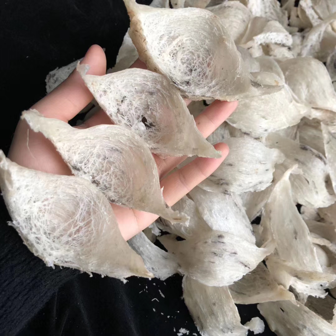 【轻毛燕窝】-轻毛燕窝厂家,品牌,图片,热帖-阿里巴巴