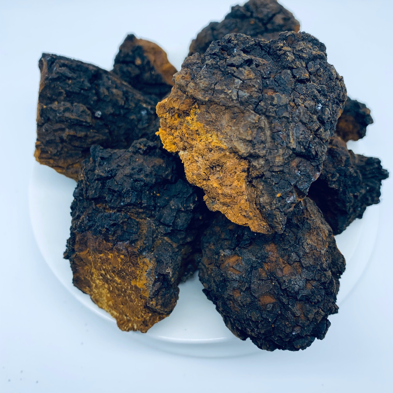 俄罗斯桦树茸手选块密度高带有黑皮一袋一斤45?