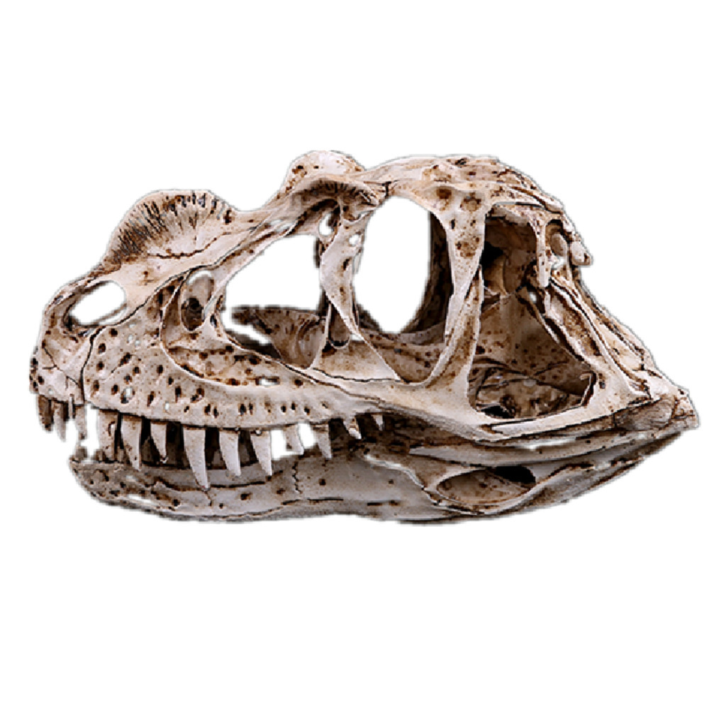 角鼻龙 恐龙头骨树脂骷髅头创意居家摆件 个性摆件 儿童节礼品