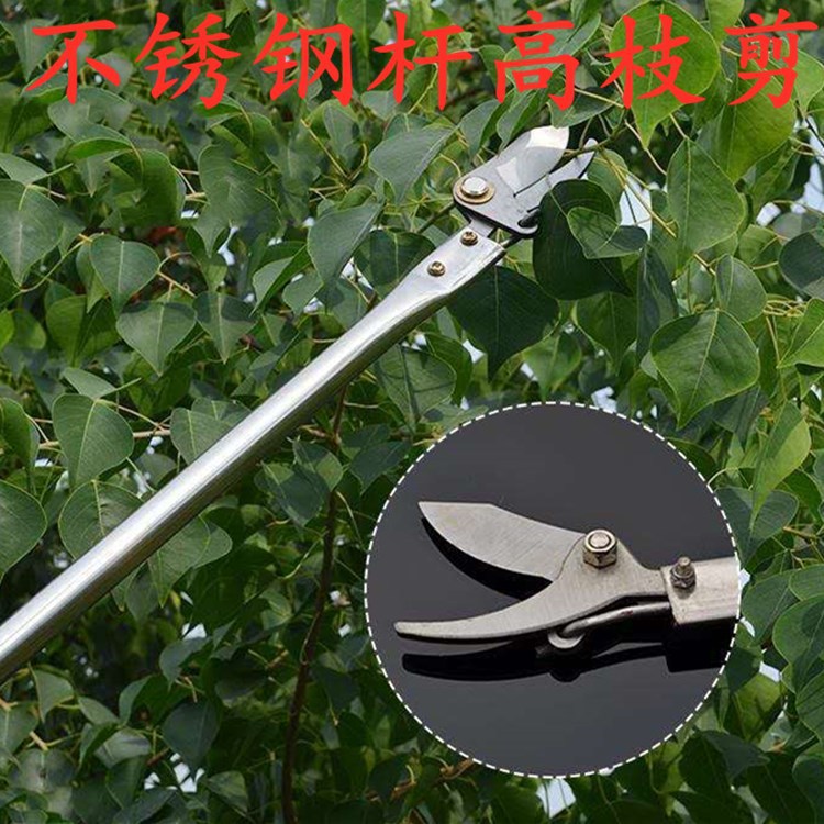 不锈钢杆高枝剪高空剪树枝剪修枝剪槐米剪香椿剪子高杆园林剪刀