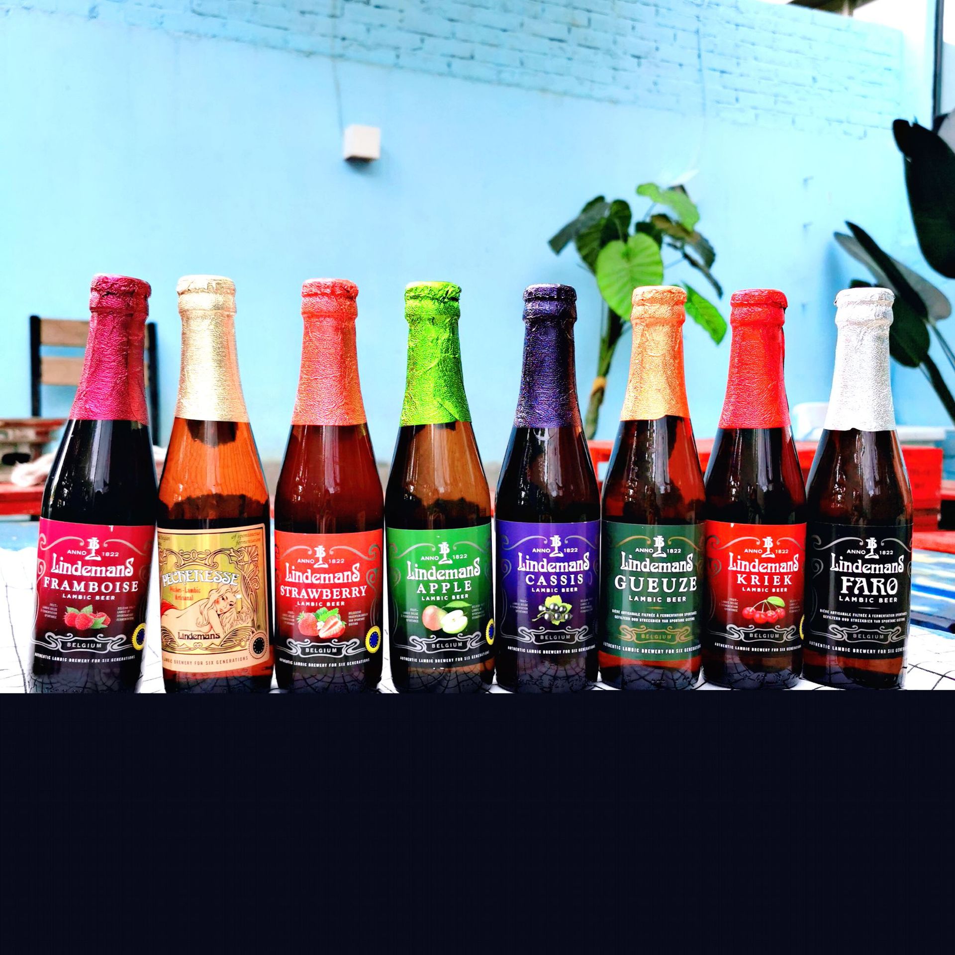 比利时原装进口果味啤酒林德曼水果啤酒250ml24瓶整箱8种果味