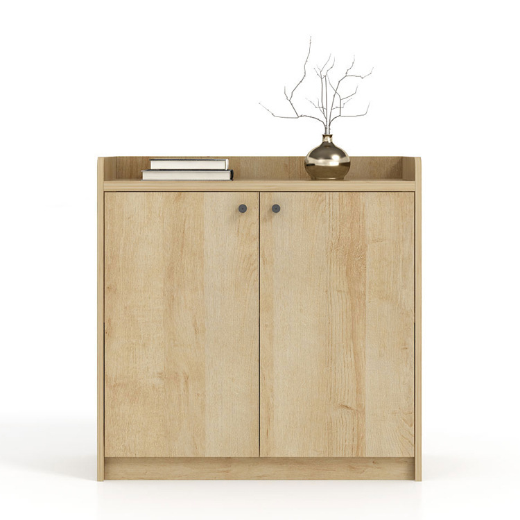 现代简约原木色双门高柜文件柜收纳储物柜家用落地书柜办公室家具