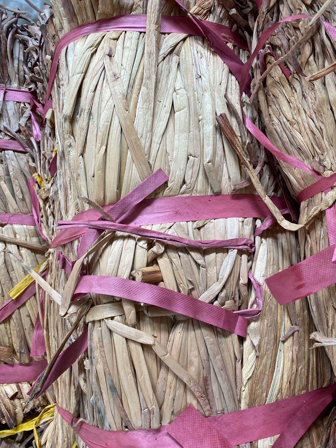 本工厂长期有水草海草水葫芦草批发 水草 越南水葫芦草整捆批发