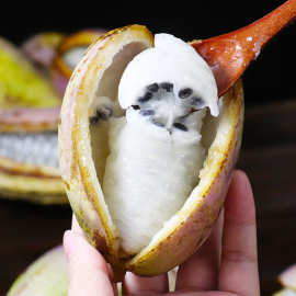 新鲜应季水果八月瓜恶魔果实预知了八月炸野香蕉神秘果批发