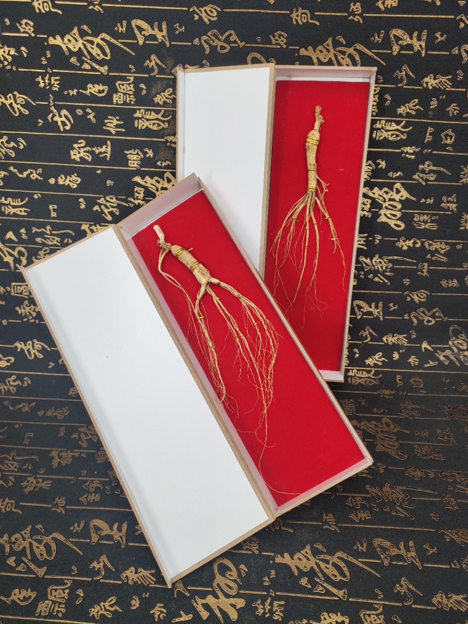 长白山人参礼盒吉林人参12年林下山参展会礼品白参生晒参产地批发