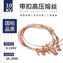 10KV高压熔丝 RW PRWG1 PRWG2跌落式开关6-12kv保险丝 国标带扣