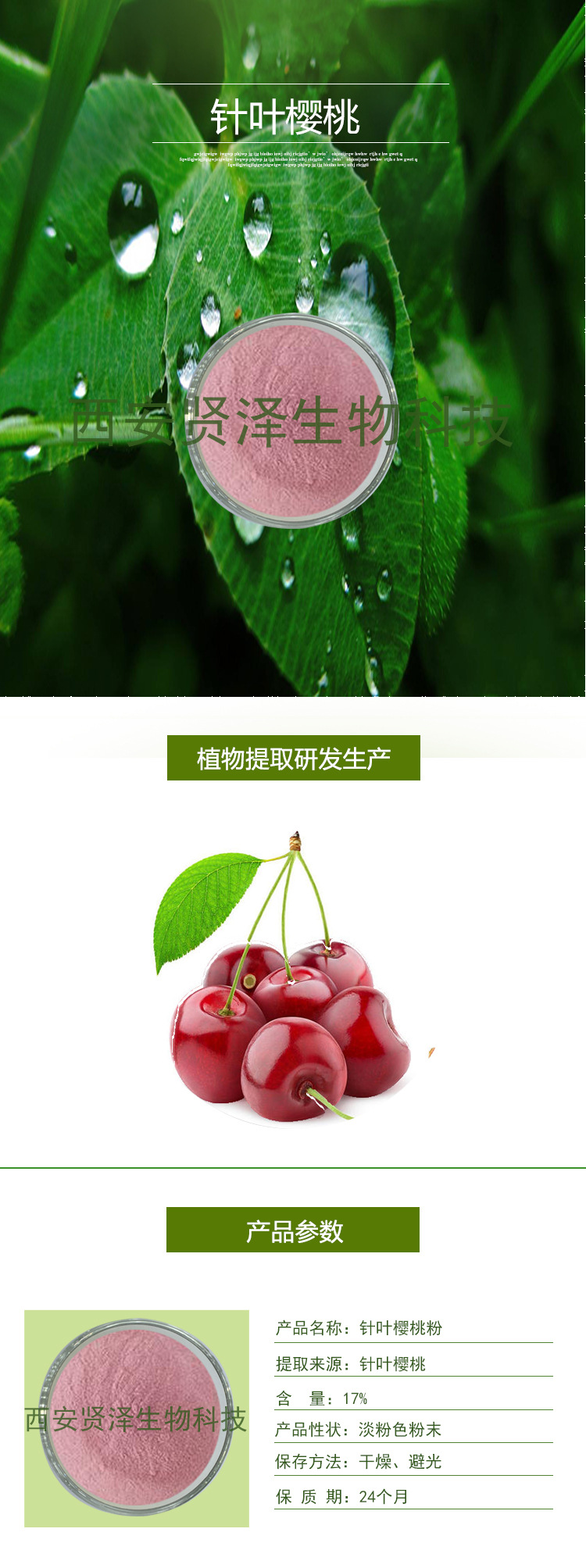 针叶樱桃 vc17% 针叶樱桃提取物 樱桃果粉 厂家现货 贤泽生物