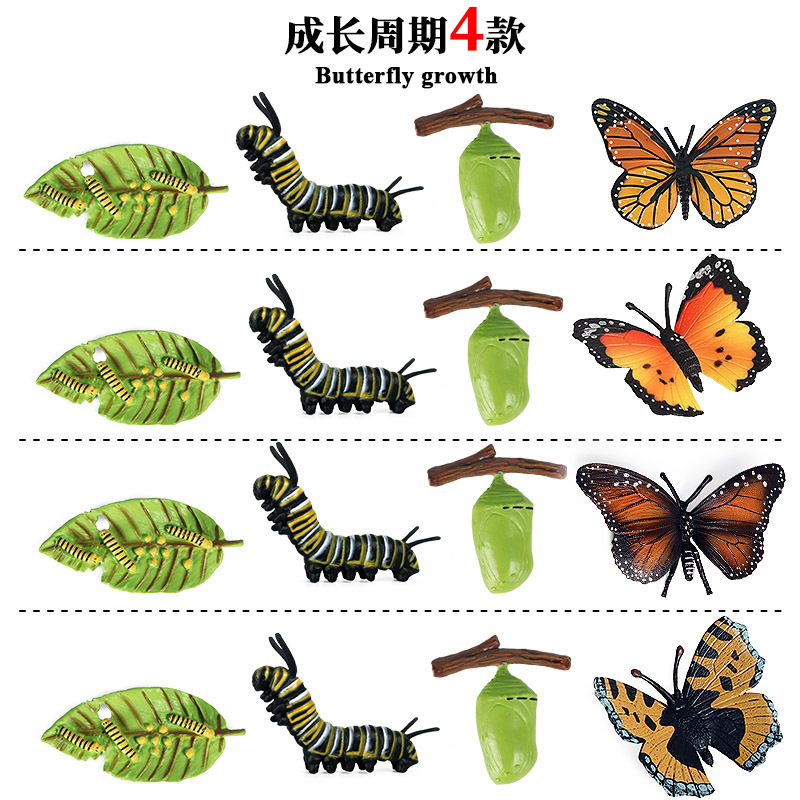 跨境仿真昆虫动物生长过程模型种子昆虫蝴蝶小鸡青蛙儿童科教玩具