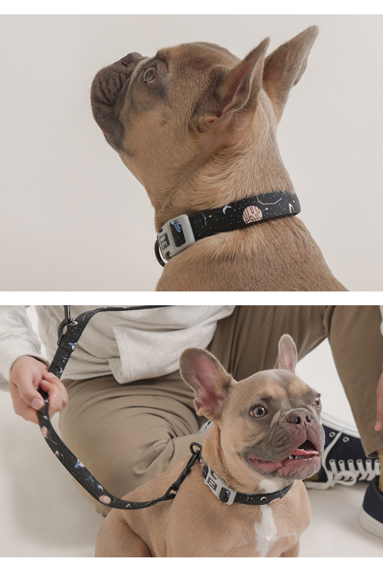 韩国puppy gallery 狗狗项圈牵引小中大型犬脖圈颈圈泰迪比熊项圈