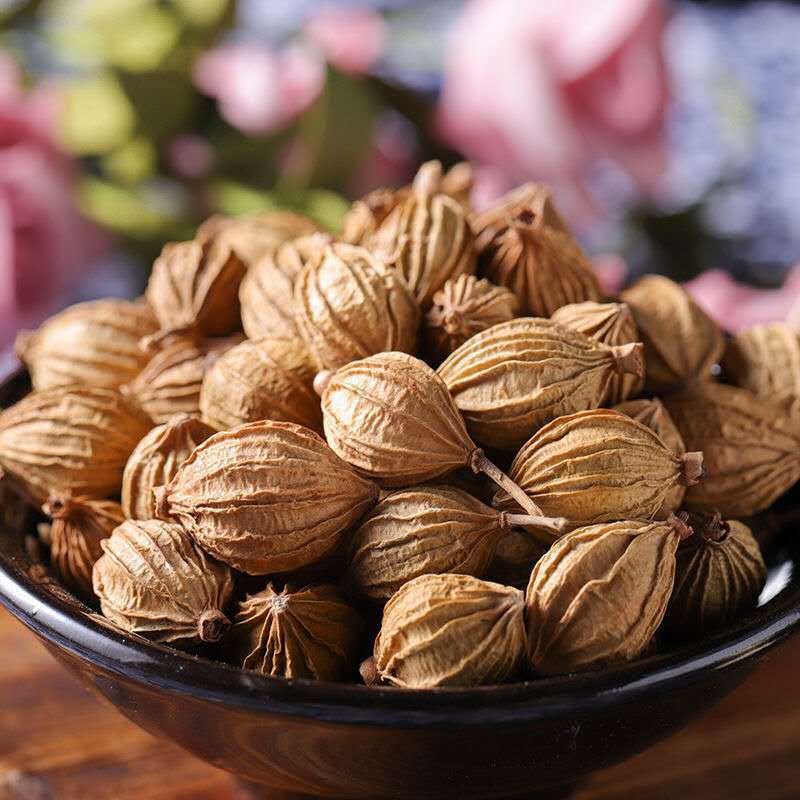 香砂四川香砂川砂仁火锅底料卤料香料大全增香调味香辛料产地批发