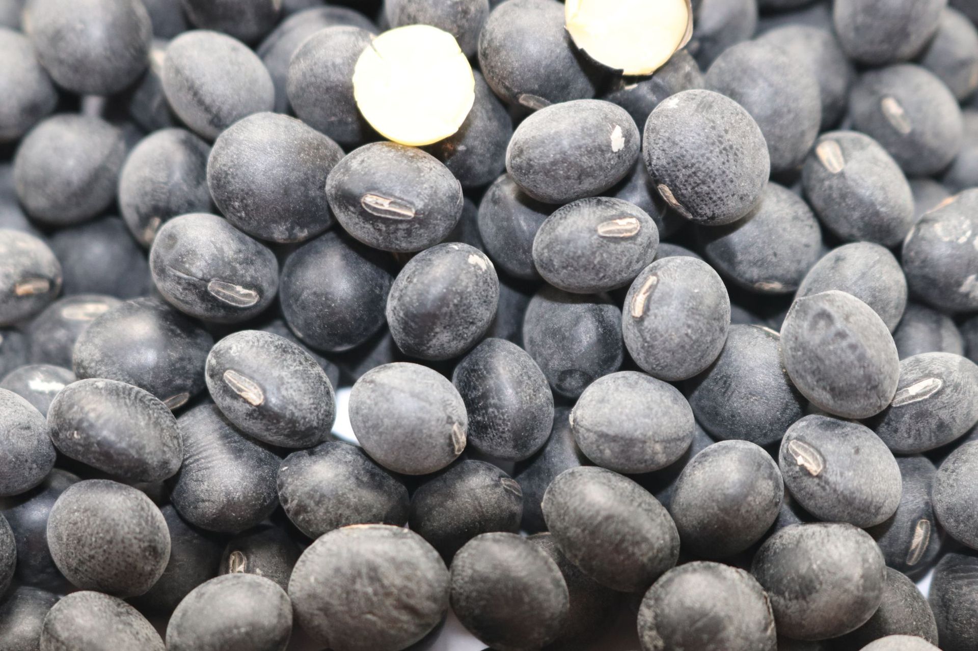 00mm丹波黑豆日本纳豆原料多种规格可选2020 新品丹波黑豆