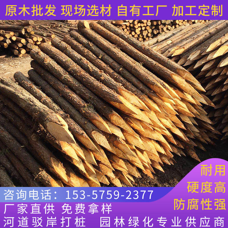 厂家直供批发定 制打桩木 原木打桩木工地河堤杉木桩护坡整治木桩