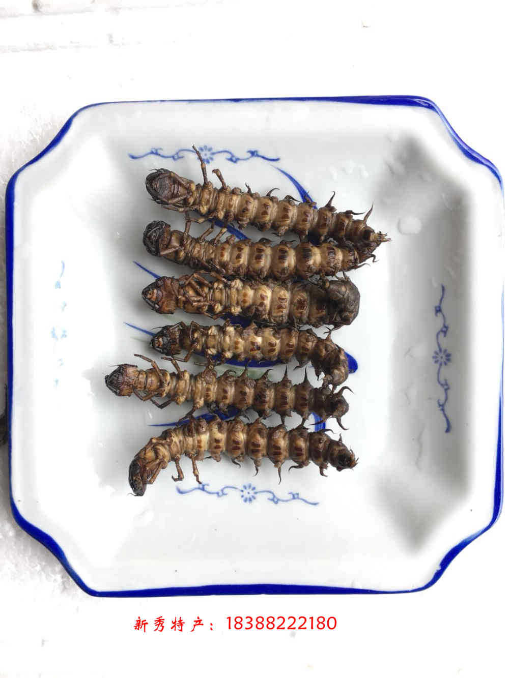 批发供应【云南特产】 爬沙虫 食用昆虫 虫参水蜈蚣 鲜活速冻
