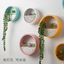 壁挂创意绿萝花盆北欧马卡龙绿植客厅挂墙面装饰圆形水培花盆鱼缸