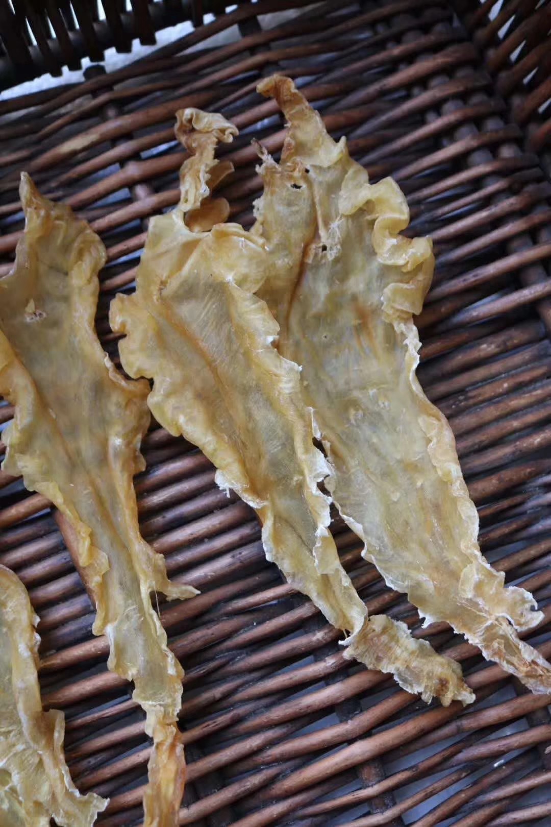 冰岛鳕鱼胶150头110头80头55头35头25头15头规格全 产地一手