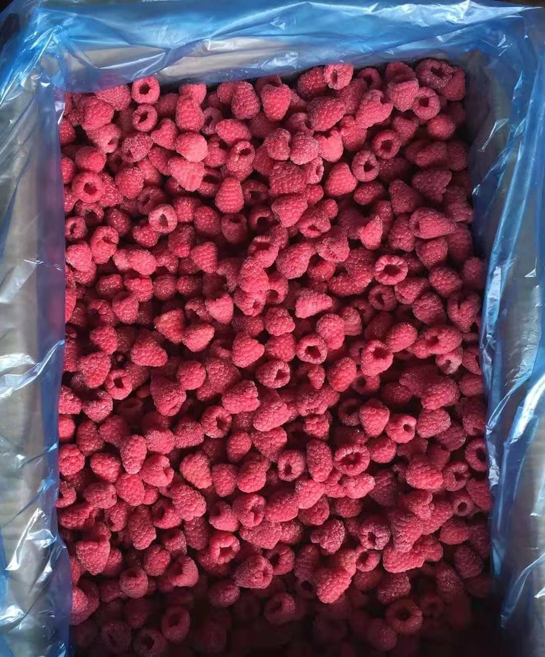 果汁饮品水果原料冷冻红树莓 速冻果脯水果干树莓 速冻红树莓