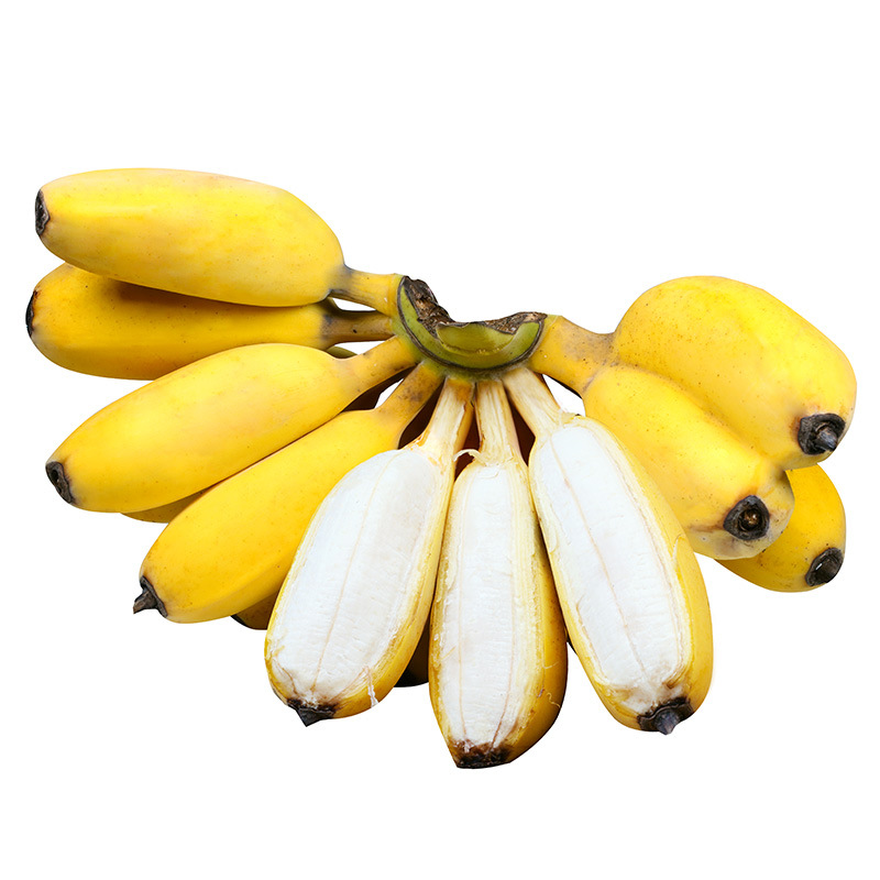 漳州苹果蕉 当季新鲜现摘孕妇水果 土楼特产香蕉粉蕉一件代发包邮