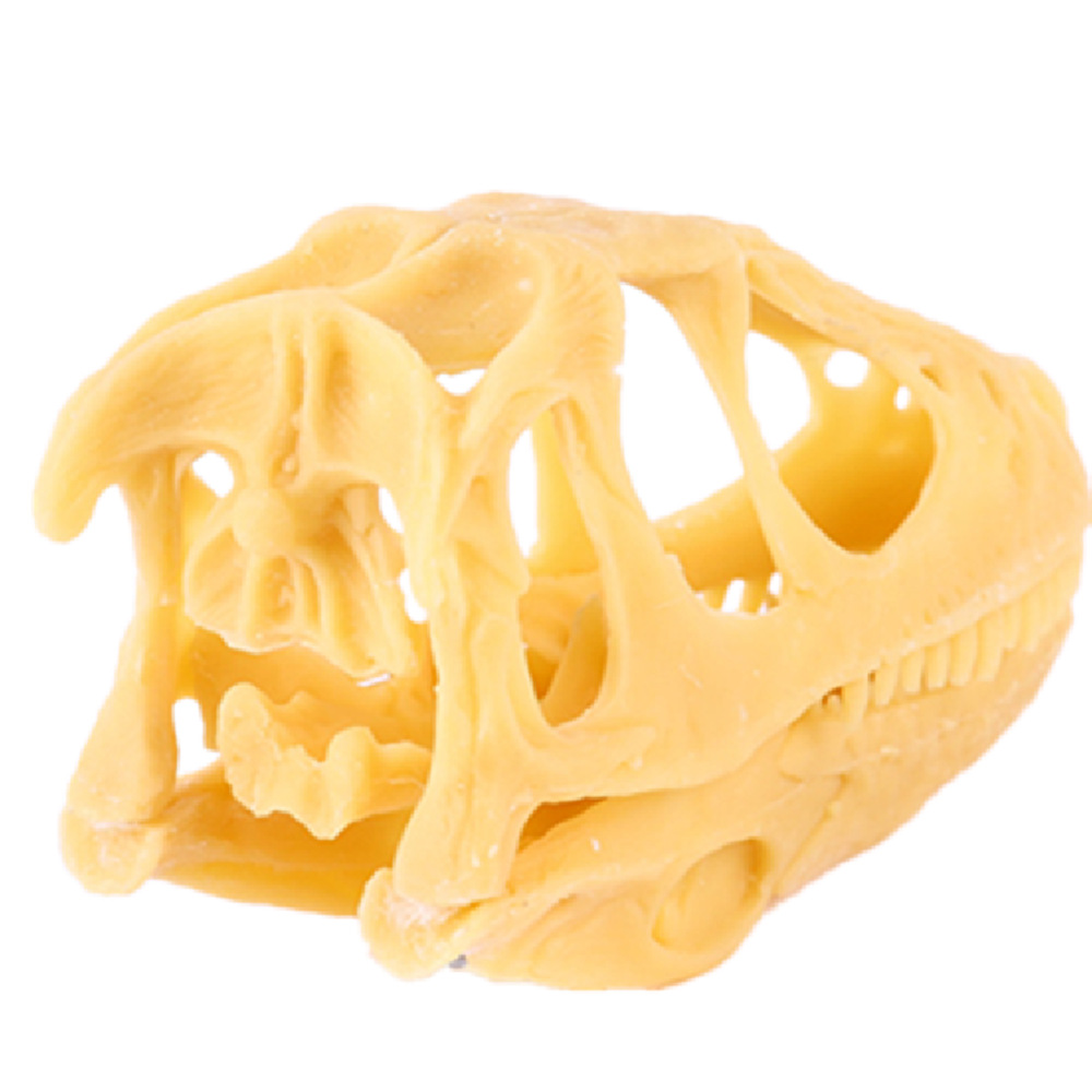 低价盗龙头骨模型伶盗龙头骨模型恐龙头骨模型骷髅头树脂骷髅头